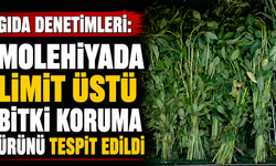 Gıda denetimleri: Molehiyada limit üstü bitki koruma ürünü tespit edildi