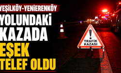 Yeşilköy-Yenierenköy yolundaki kazada eşek telef oldu