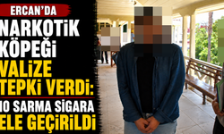 Ercan’da narkotik köpeği valize tepki verdi: 10 sarma sigara ele geçirildi