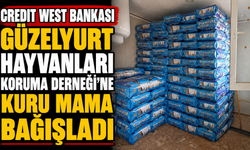 Credit West Bankası Güzelyurt Hayvanları Koruma Derneği’ne kuru mama bağışladı