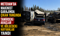 Metehan'da makinist garajında çıkan yangında tamirdeki araçlar ve bölgedeki hayvanlar yandı