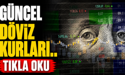 Döviz kurları