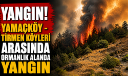 Yamaçköy - Tirmen köyleri arasında ormanlık alanda yangın...