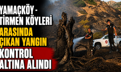 Yamaçköy - Tirmen Köyleri arasında çıkan yangın kontrol altına alındı