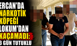 Ercan’da Narkotik Köpeği Lokum’dan Kaçamadı: 3 Gün Tutuklu