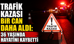 Trafik kazası bir can daha aldı: 36 yaşında hayatını kaybetti