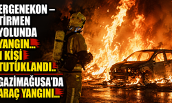 Ergenekon – Tirmen yolunda yangın...1 kişi tutuklandı
