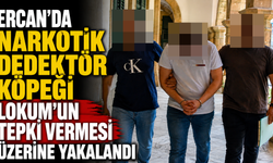 Ercan’da narkotik dedektör köpeği lokum’un tepki vermesi üzerine yakalandı