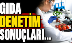 Gıda denetim sonuçları…