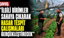 Çavuş, Güneşköy ve Aydınköy’de olumsuz hava koşullarının etkilerini inceledi