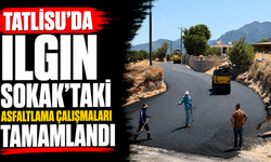 Tatlısu’da Ilgın Sokak’taki asfaltlama çalışmaları tamamlandı