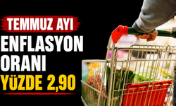 Temmuz ayı enflasyon oranı yüzde 2,90…
