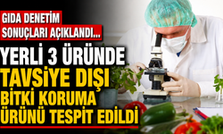 Gıda denetim sonuçları açıklandı… Yerli 3 üründe tavsiye dışı bitki koruma ürünü tespit edildi