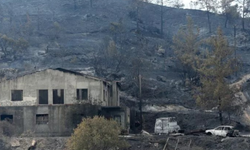 Limasol'daki yangını çıkarmakla suçlanan kişinin 3 yıl hapis yattıktan sonra masum olduğu ortaya çıktı