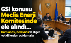 GSI konusu Meclis Enerji Komitesinde ele alındı...Damianos , Keravnos ve diğer yetkililerden açıklamalar