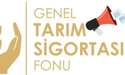 Genel Tarım Sigortası Fonu: “Dolu ve fırtına zararı için son müracaat cuma günü”