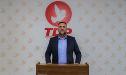 Çeler’den gemi faciasıyla ilgili bağımsız ve kamuya açık soruşturma çağrısı