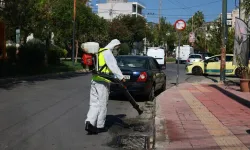 Yunanistan'da bir haftada 34 yeni Batı Nil virüsü vakası