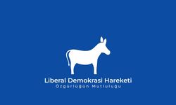 LDH’den kadınlara yönelik şiddetle mücadelede kriz masası kurulması ve yasal düzenleme çağrısı