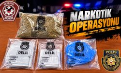 Lefkoşa’da uyuşturucu operasyonu…Bir kişi tutuklandı