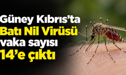 Güney Kıbrıs’ta Batı Nil Virüsü vaka sayısı 14’e çıktı