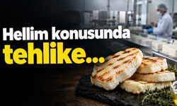 Hellim konusunda tehlike…