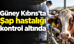 Güney Kıbrıs’ta Şap hastalığı kontrol altında