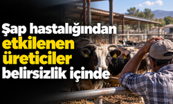 Şap hastalığından etkilenen üreticiler belirsizlik içinde
