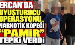 Ercan’da uyuşturucu operasyonu.. Narkotik köpeği “pamir” tepki verdi