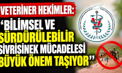 Veteriner hekimler: “Bilimsel ve sürdürülebilir sivrisinek mücadelesi büyük önem taşıyor”