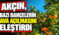 Akçın, bazı bahçelerin ava açılmasını eleştirdi