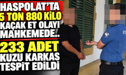 Haspolat’ta 5 ton 880 kilo kaçak et olayı mahkemede