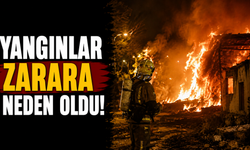 Yangınlar zarara neden oldu