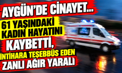 Aygün’de cinayet… 61 yaşındaki kadın hayatını kaybetti, intihara teşebbüs eden zanlı ağır yaralı
