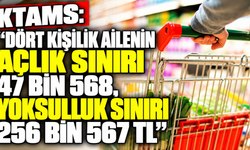 KTAMS: “Dört kişilik ailenin açlık sınırı 47 bin 568, yoksulluk sınırı 256 bin 567 TL”