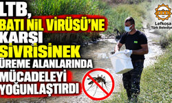 LTB, Batı Nil Virüsü’ne karşı sivrisinek üreme alanlarında mücadeleyi yoğunlaştırdı