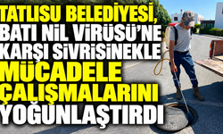 Tatlısu Belediyesi, Batı Nil Virüsü’ne karşı sivrisinekle mücadele çalışmalarını yoğunlaştırdı