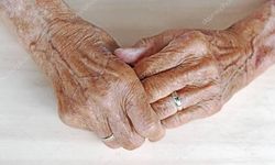 Alzheimer araştırmasında yeni ipucu: Beyne ulaşamayan bağışıklık hücreleri
