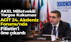 AKEL Milletvekili Yorgos Kukumas AGİT 24. Akdeniz Forumu’nda Filistin’i öne çıkardı