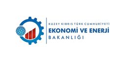 Sinek ilacı ve benzeri ürünler denetleniyor