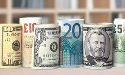 Döviz kurları.. Dolar 49,20, euro 55,40, sterlin 65 TL