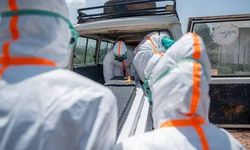 Kenya'da ilk Ebola vakası doğrulandı