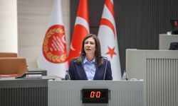 İncirli: “Demokrasiye ve ortak geleceğe sahip çıkın”