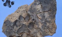 Tavşanlı Höyük kazılarında yaklaşık 4 bin yıllık pati izleri bulundu