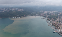 Sarıyer ve Beykoz’da yağışın ardından denizin rengi kahverengiye döndü