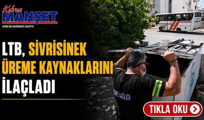 LTB, sivrisinek üreme kaynaklarını ilaçladı