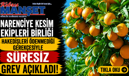 Narenciye Kesim Ekipleri Birliği hakedişleri ödenmediği gerekçesiyle süresiz grev açıkladı