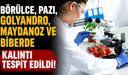 Börülce, pazı, golyandro, maydanoz ve biberde kalıntı tespit edildi