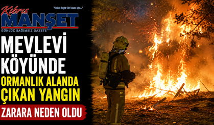 Mevlevi köyünde ormanlık alanda çıkan yangın zarara neden oldu