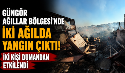 Güngör Ağıllar Bölgesi’nde iki ağılda yangın çıktı…İki kişi dumandan etkilendi